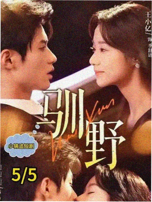 冬夜漫谈 短剧电视剧全集
